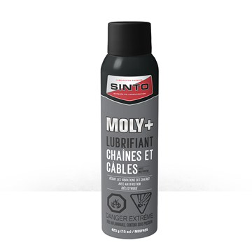Picture of MOLY+ - Spray (425g)